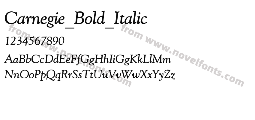 Carnegie_Bold_ItalicPreview