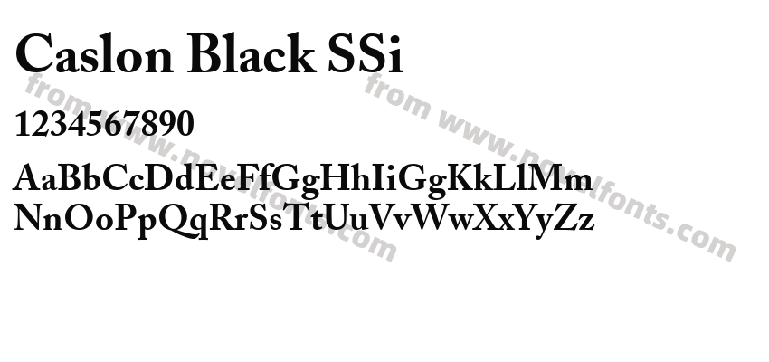 Caslon Black SSiPreview