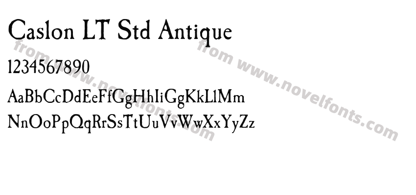 Caslon LT Std AntiquePreview