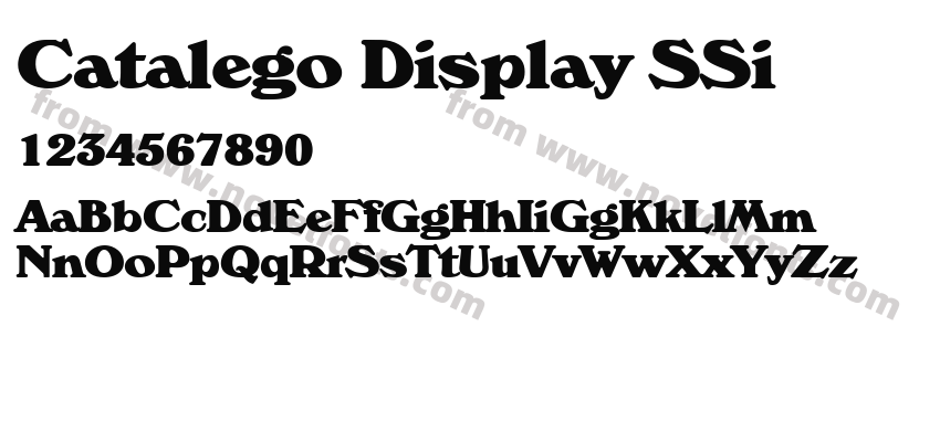 Catalego Display SSiPreview