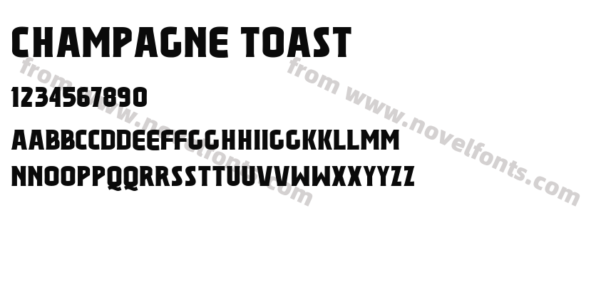 Champagne ToastPreview