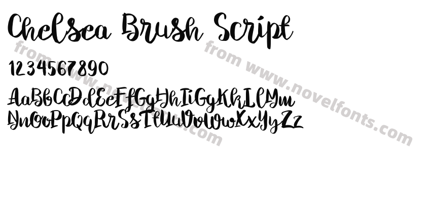 Chelsea Brush ScriptPreview