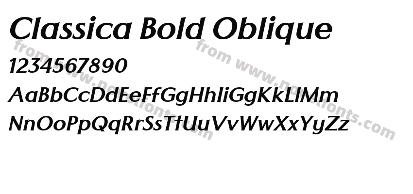 Classica Bold ObliquePreview