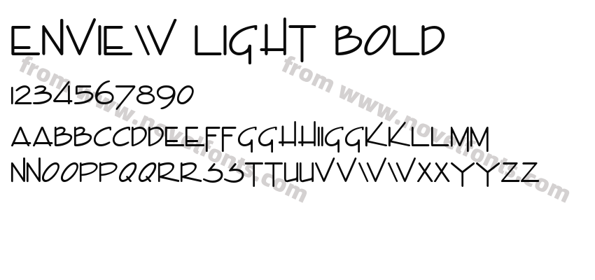 Enview Light BoldPreview