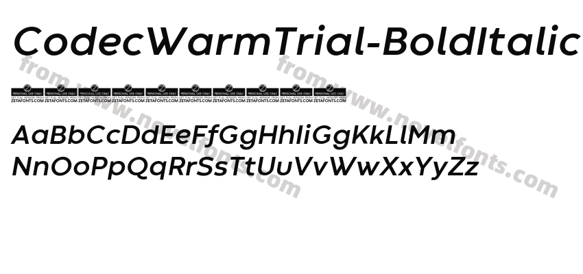 CodecWarmTrial-BoldItalicPreview