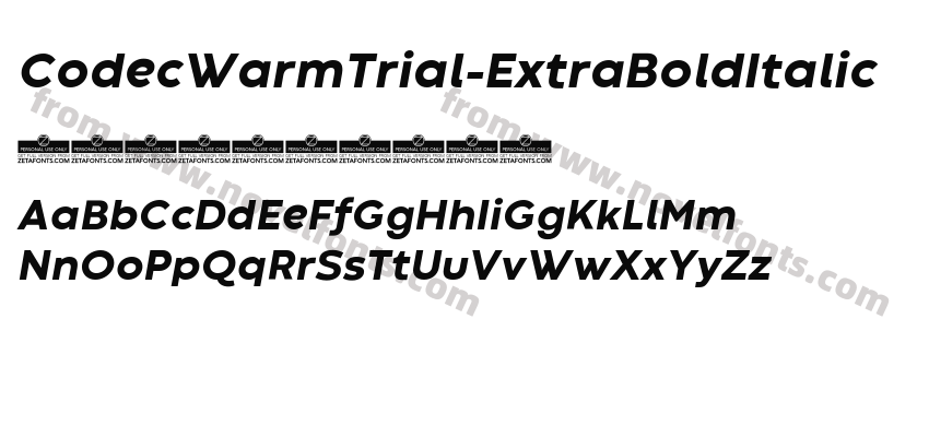 CodecWarmTrial-ExtraBoldItalicPreview