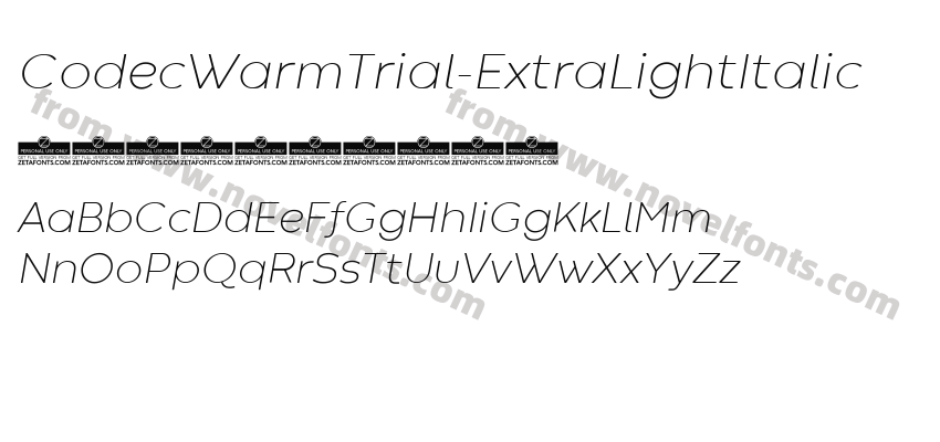 CodecWarmTrial-ExtraLightItalicPreview