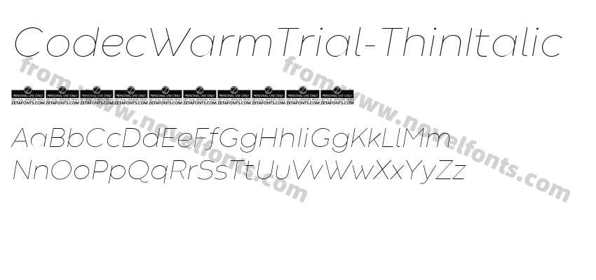 CodecWarmTrial-ThinItalicPreview