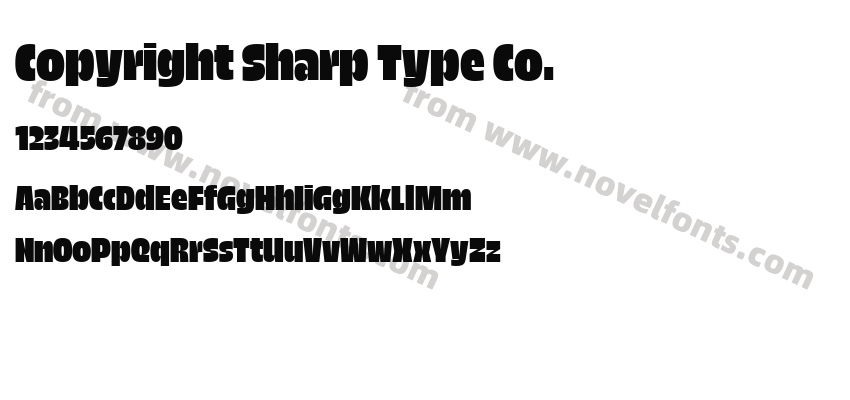 Copyright Sharp Type Co.Preview