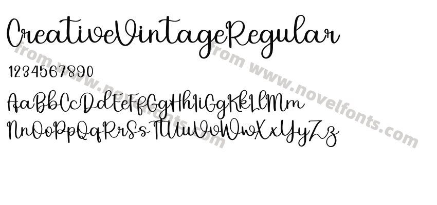 CreativeVintageRegularPreview