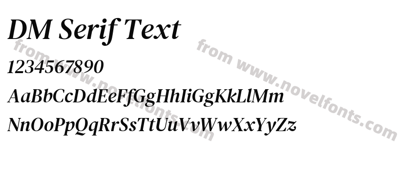 DM Serif TextPreview