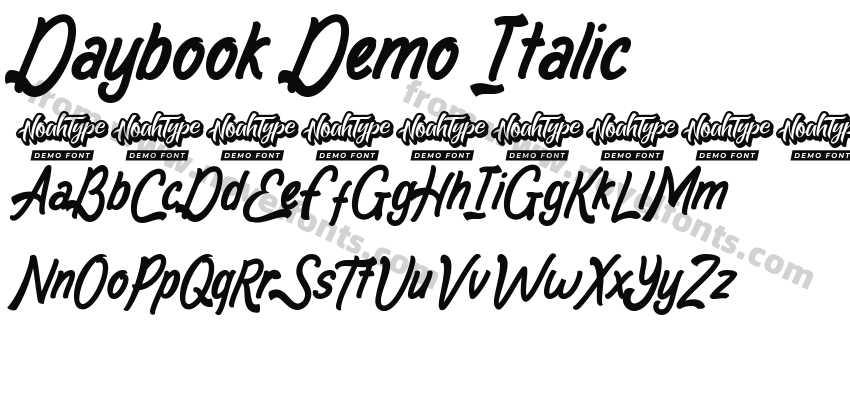 Daybook Demo ItalicPreview