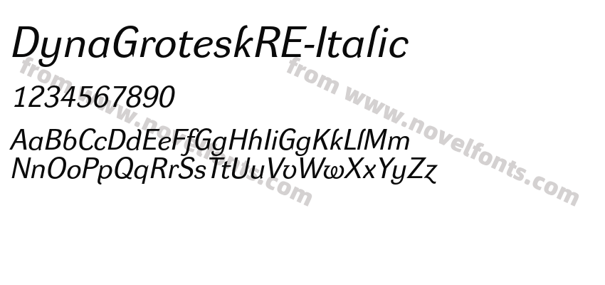 DynaGroteskRE-ItalicPreview