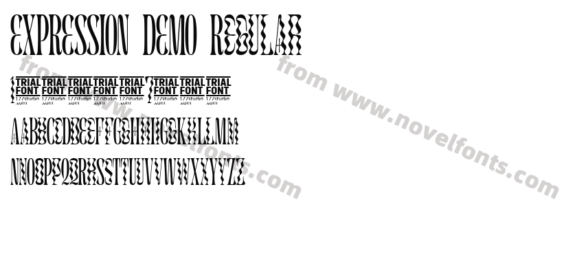 EXPRESSION DEMO RegularPreview