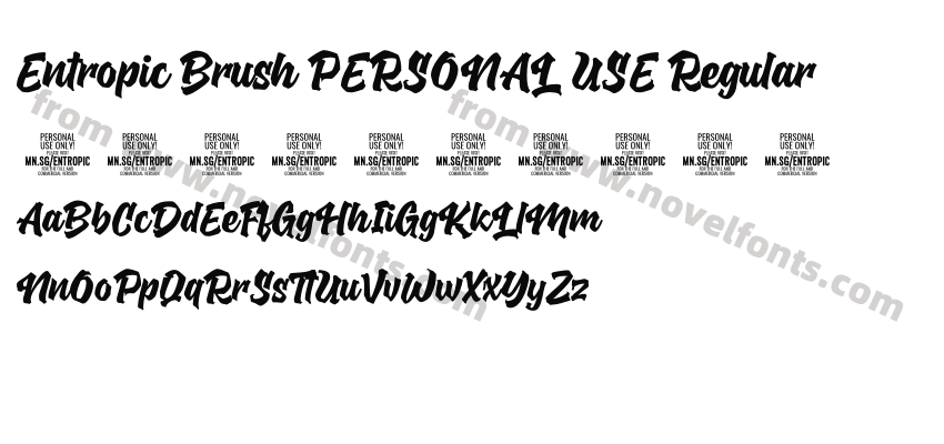 Entropic Brush PERSONAL USE RegularPreview