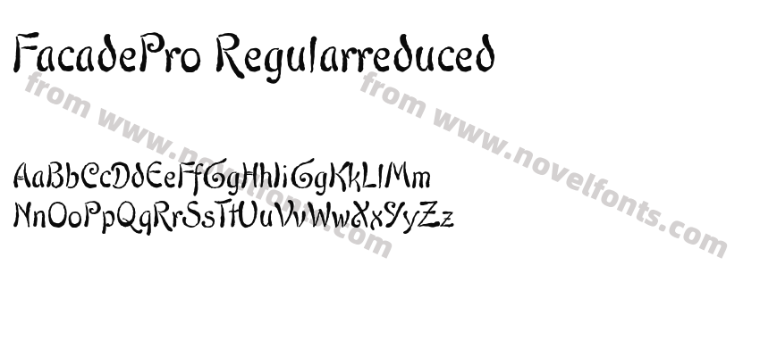 FacadePro-RegularreducedPreview