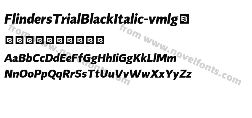 FlindersTrialBlackItalic-vmlg4Preview