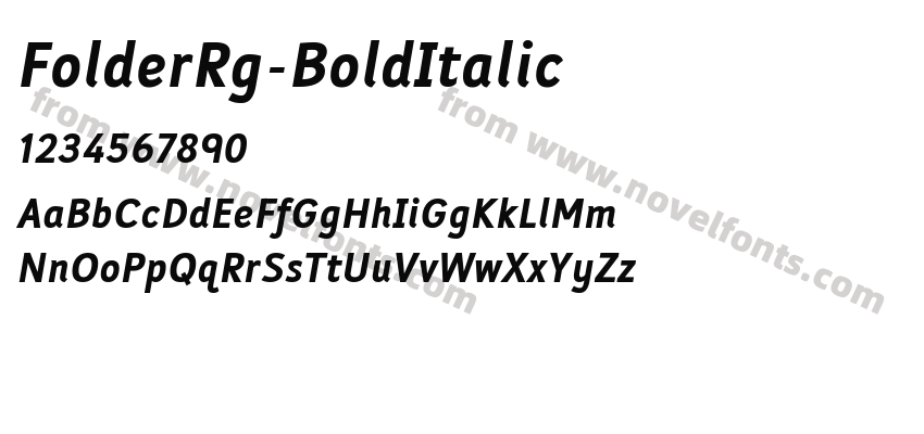 FolderRg-BoldItalicPreview