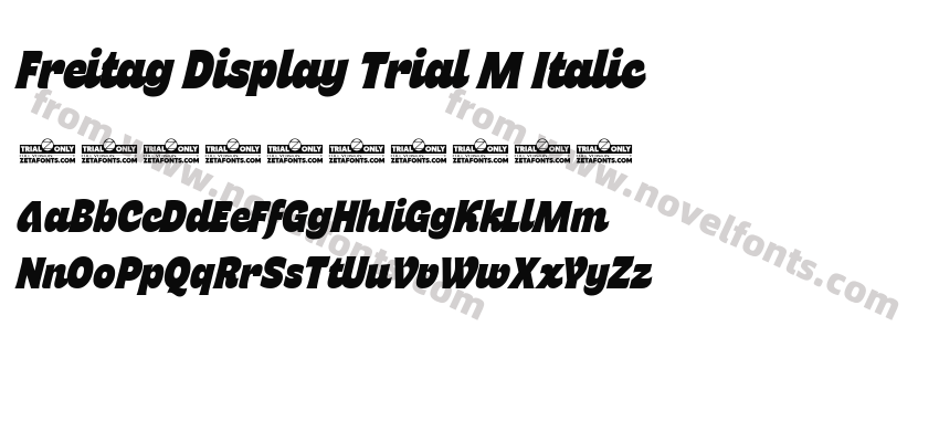 Freitag Display Trial M ItalicPreview