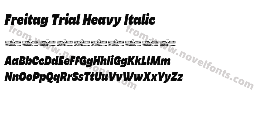 Freitag Trial Heavy ItalicPreview