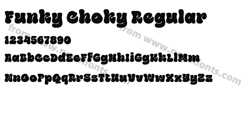 Funky Choky RegularPreview