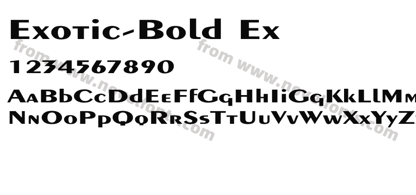 Exotic Bold ExPreview