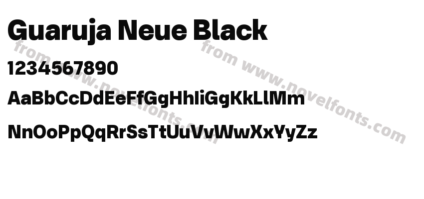 Guaruja Neue BlackPreview