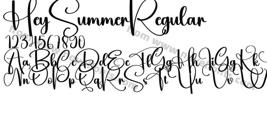 HeySummerRegularPreview