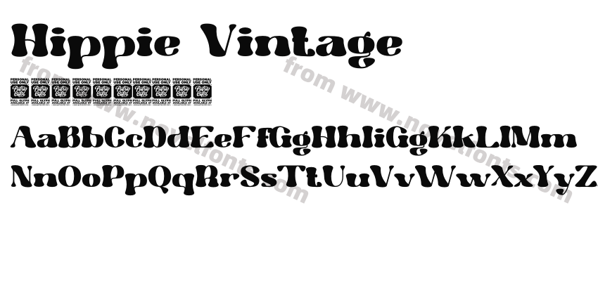 Hippie VintagePreview