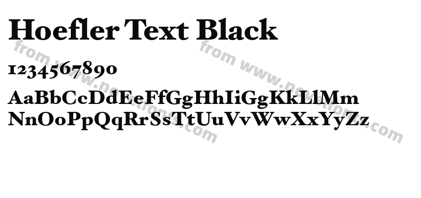 Hoefler Text BlackPreview