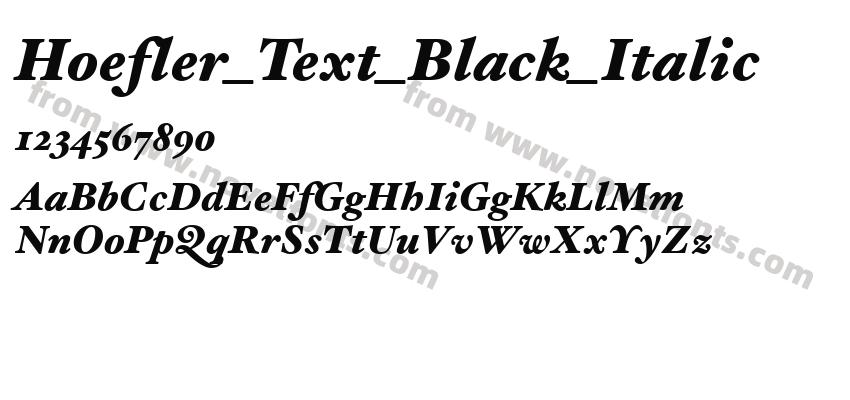 Hoefler_Text_Black_ItalicPreview