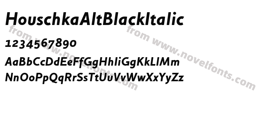 HouschkaAltBlackItalicPreview