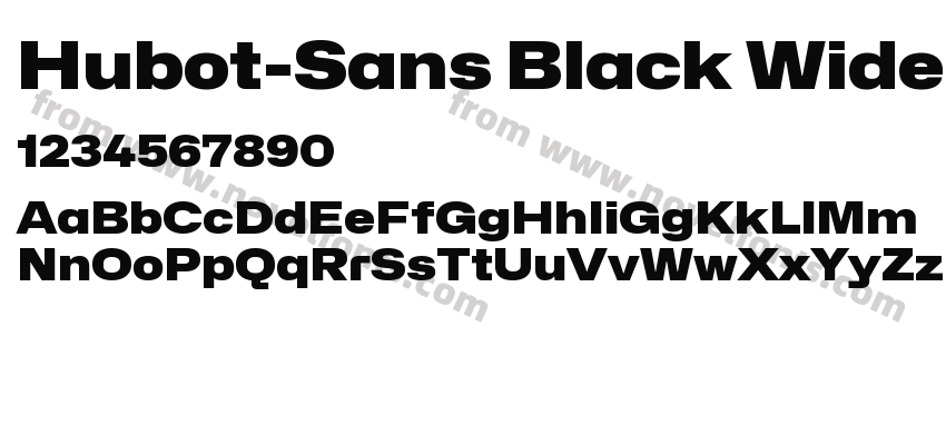 Hubot-Sans Black WidePreview