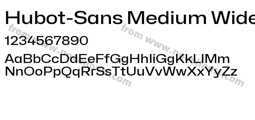 Hubot-Sans Medium WidePreview