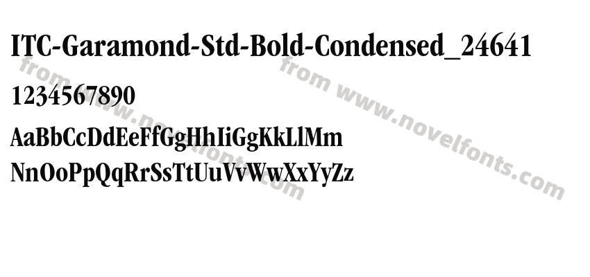 ITC-Garamond-Std-Bold-Condensed_24641Preview