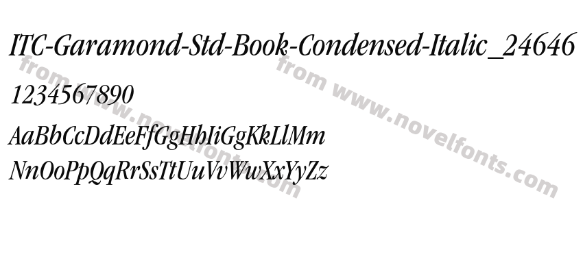 ITC-Garamond-Std-Book-Condensed-Italic_24646Preview