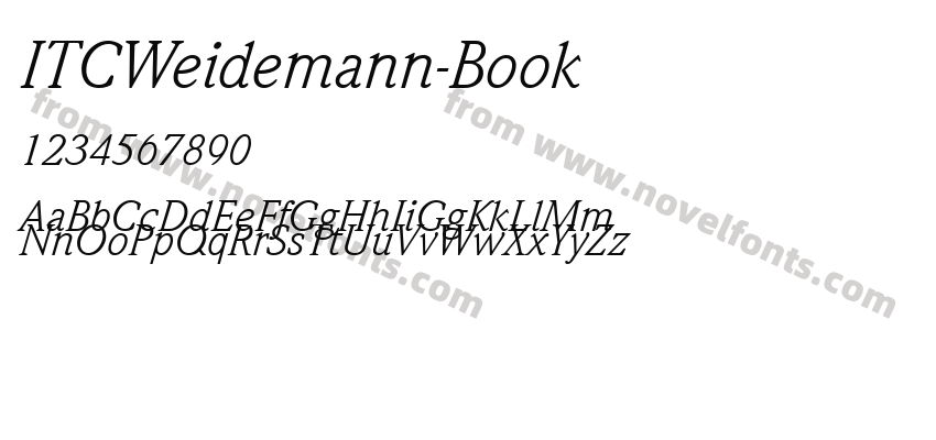 ITCWeidemann-BookPreview