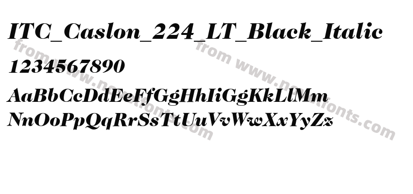 ITC_Caslon_224_LT_Black_ItalicPreview