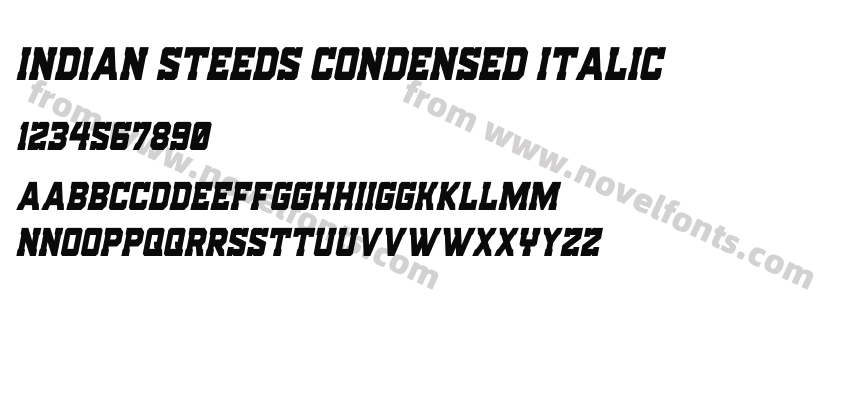 Indian Steeds Condensed ItalicPreview