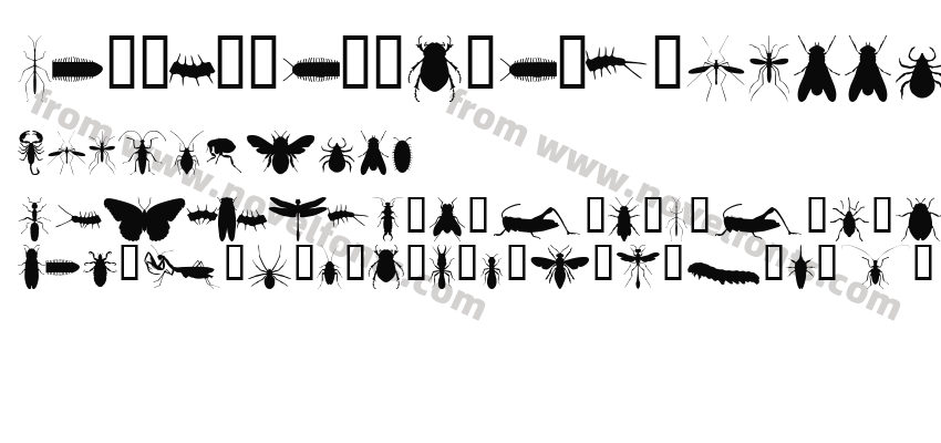 Insectile-Solid_23998Preview