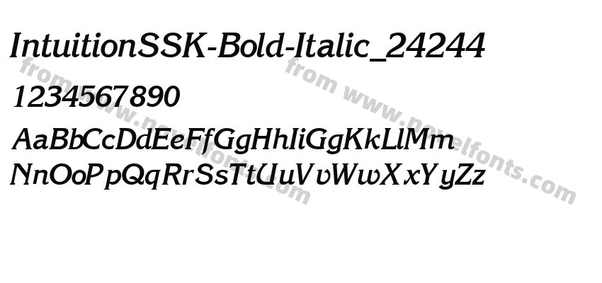 IntuitionSSK-Bold-Italic_24244Preview