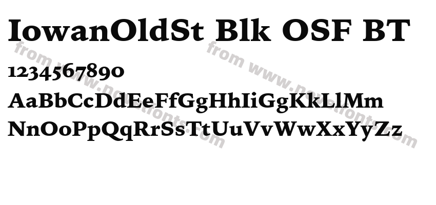 IowanOldSt Blk OSF BTPreview