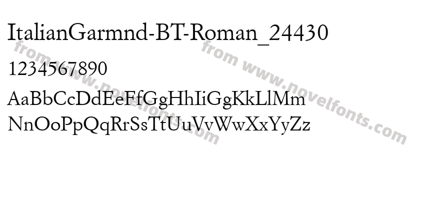 ItalianGarmnd-BT-Roman_24430Preview