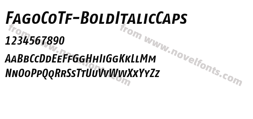 FagoCoTf-BoldItalicCapsPreview