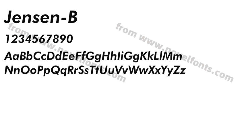 Jensen-Bold-Italic_25176Preview