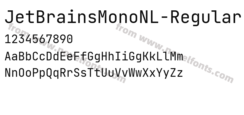 JetBrainsMonoNL-RegularPreview