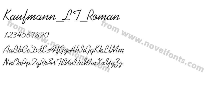 Kaufmann_LT_RomanPreview