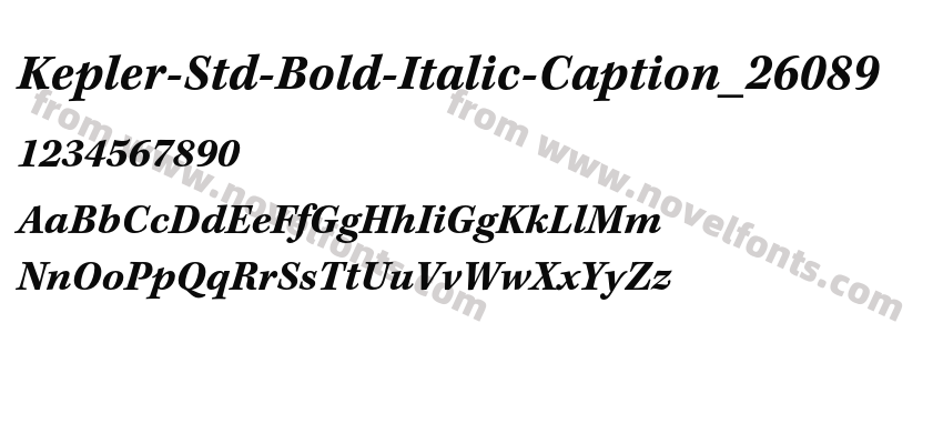 Kepler-Std-Bold-Italic-Caption_26089Preview