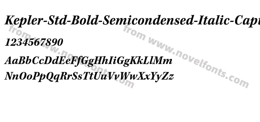 Kepler-Std-Bold-Semicondensed-Italic-Caption_26095Preview