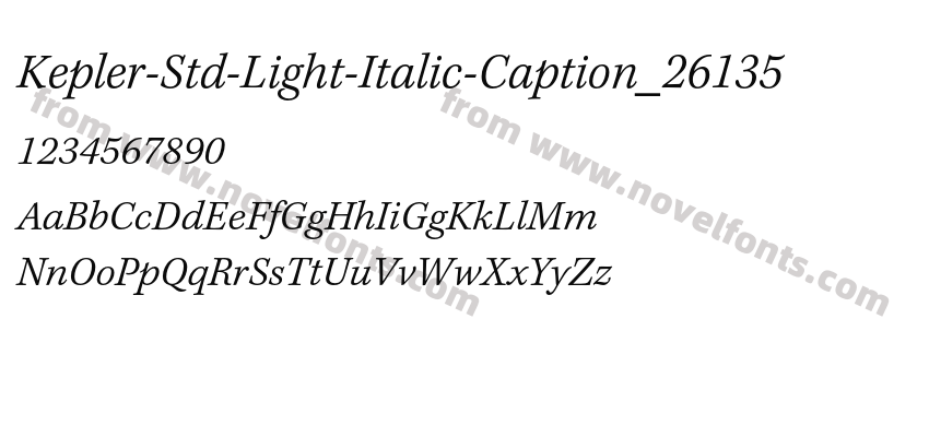 Kepler-Std-Light-Italic-Caption_26135Preview